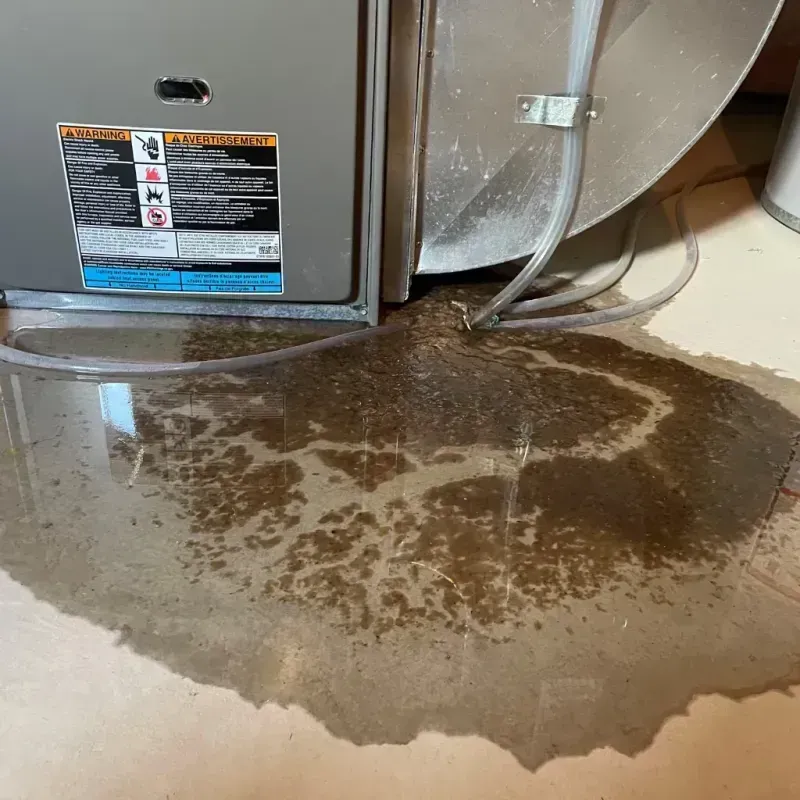 Appliance Leak Cleanup in Henderson, LA